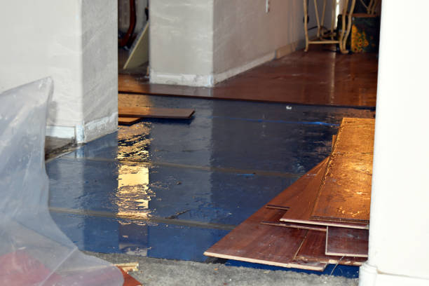 Professional Flood Damage Restoration technician working in Springfield, IL